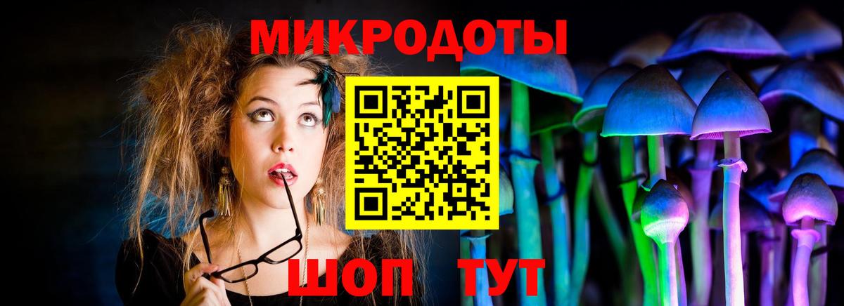 Галлюциногенные грибы прущие грибы Протвино